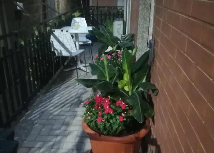 Le Del Cortile 2 *